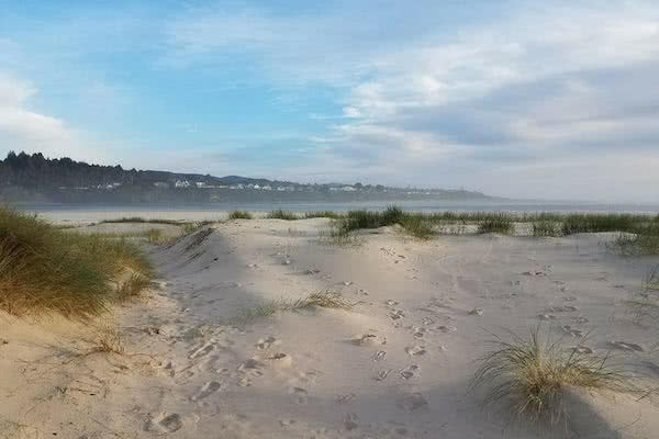 Oregon Beach - Planning a business retreat?