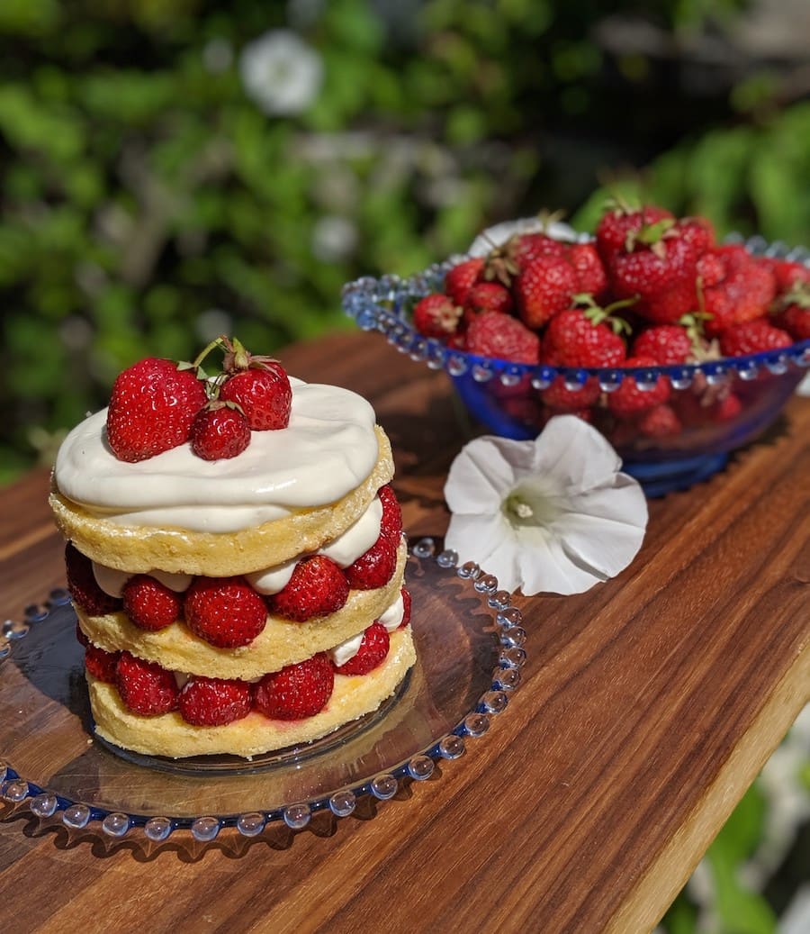 Triple Layered Victoria Sponge Cake with Labneh (Yogurt Cheese) Whip Cream and Fresh Oregon Hood Strawberries