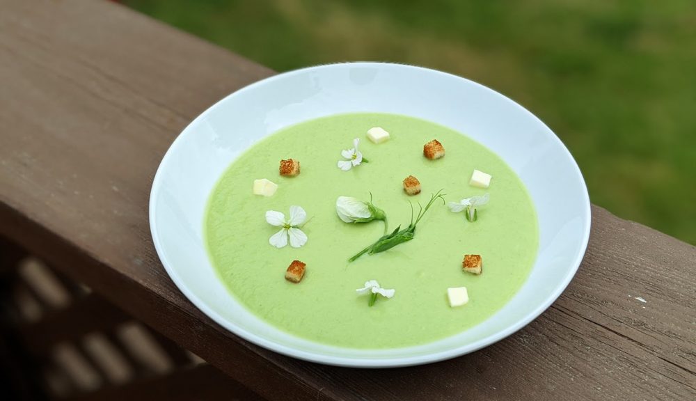 Fresh Pea Soup with Cubed Butter, Edible Radish Blossoms, Pea Sprouts and Brioche Croutons